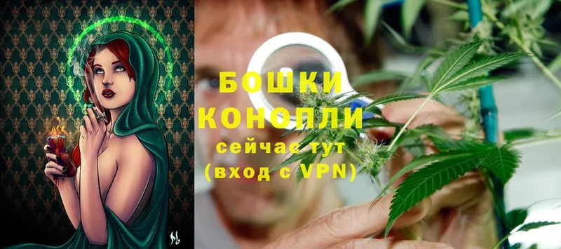 где купить наркоту  Беломорск  нарко площадка клад  Каннабис Ganja 